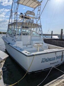 2000 Henriques 35 Express for sale - photo 2
