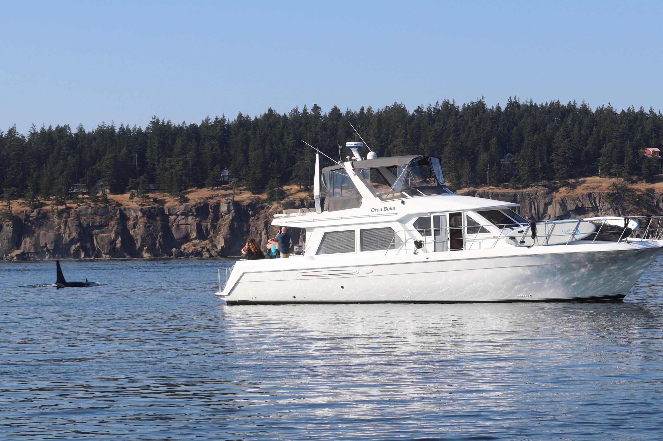 2000 Navigator 5300 for sale