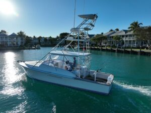 2000 Stolper 3800 Tournament Express for sale - photo 5