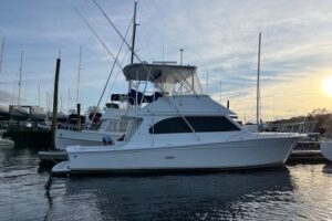 Egg Harbor 42 Convertible convertible yacht helm station with dual helm seats, steering wheel, and instrument panel displays.