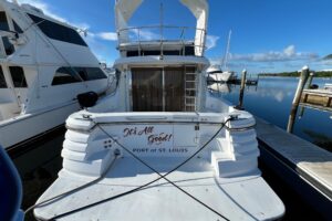 2001 Jefferson International 5300 for sale - photo 4
