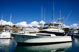 2002 Mikelson 50 Sportfisher for sale - photo 5