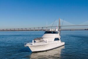 2002 Viking 65 Enclosed Bridge for sale - photo 4