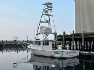 2003 BHM Sport Fish for sale