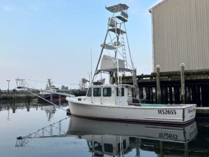 2003 BHM Sport Fish for sale - photo 2