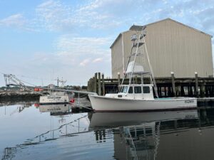 2003 BHM Sport Fish for sale - photo 3