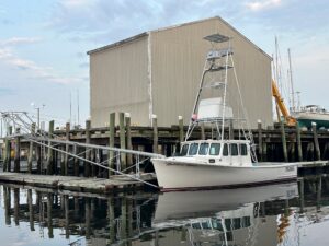 2003 BHM Sport Fish for sale - photo 4
