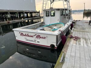 2003 BHM Sport Fish for sale - photo 5