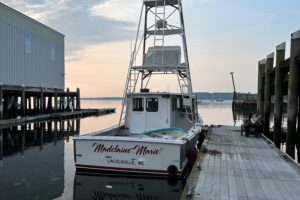 2003 BHM Sport Fish for sale - photo 6