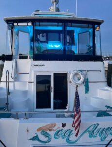 2003 Carver 444 Cockpit Motor Yacht for sale - photo 6