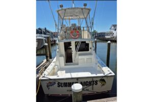 2003 Henriques 35 Sportfisherman for sale - photo 6