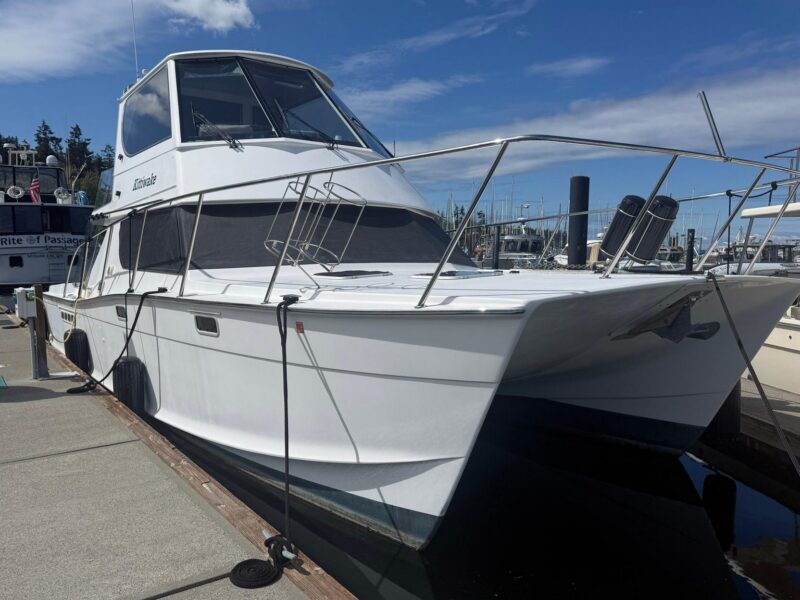 2004 Custom TLD Custom Power Cat