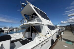 2004 Custom TLD Custom Power Cat for sale - photo 2