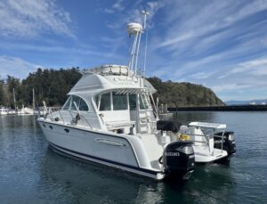 2005 Glacier Bay 3490 Ocean Runner for sale - photo 8