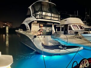 2005 Sea Ray 500 Sedan Bridge for sale