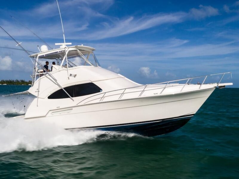 2008 Bertram 45C