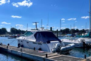 2008 Tiara Yachts 3500 Sovran for sale
