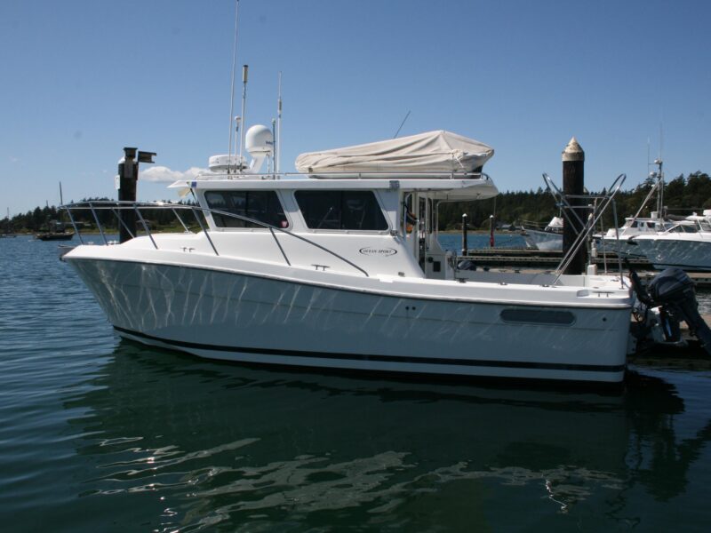 2011 Ocean Sport Roamer 30′