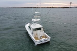 2013 Henriques 42 Express Hardtop for sale - photo 8