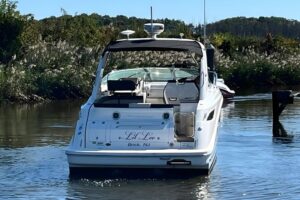 2014 Sea Ray Sundancer 350 for sale - photo 4