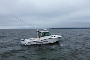 2016 Boston Whaler 315 Conquest for sale - photo 2
