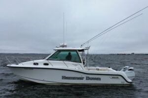 2016 Boston Whaler 315 Conquest for sale - photo 3