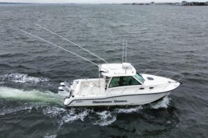 2016 Boston Whaler 315 Conquest for sale - photo 4
