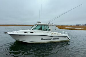 2016 Boston Whaler 315 Conquest for sale - photo 6