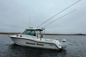 2016 Boston Whaler 315 Conquest for sale - photo 7