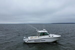 2016 Boston Whaler 315 Conquest for sale - photo 8