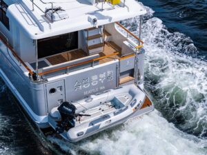 2017 Beneteau Swift Trawler 50 for sale - photo 6