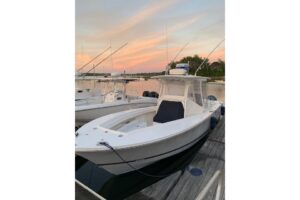 2017 Regulator 31 for sale - photo 6