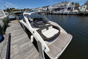 2017 Sea Ray SLX 310 for sale - photo 7