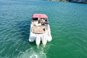 2017 Sea Ray SLX 310 Outboard for sale - photo 3
