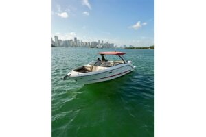 2017 Sea Ray SLX 310 Outboard for sale - photo 6