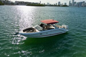 2017 Sea Ray SLX 310 Outboard for sale - photo 7