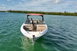 2017 Sea Ray SLX 310 Outboard for sale - photo 8
