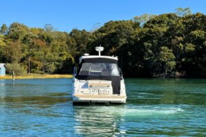 2017 Sea Ray Sundancer 350 Coupe