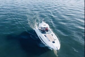 2017 Sea Ray Sundancer 370 for sale - photo 5