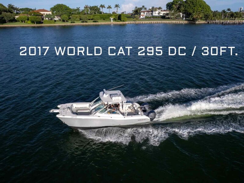 2017 World Cat 295 DC