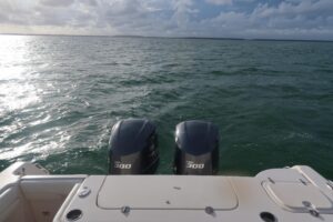 2018 Grady-White Freedom 307 for sale - photo 5