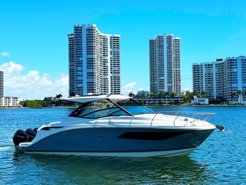 2019 Sea Ray Sundancer 320 Outboard