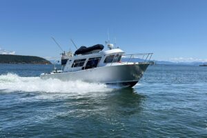 2020 Coastal Craft 33 ProFish for sale - photo 6