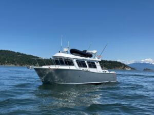 2020 Coastal Craft 33 ProFish for sale - photo 7