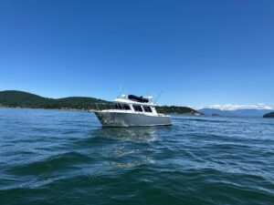 2020 Coastal Craft 33 ProFish for sale - photo 8