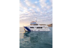 2024 Cantiere Delle Marche Darwin 86 for sale - photo 4