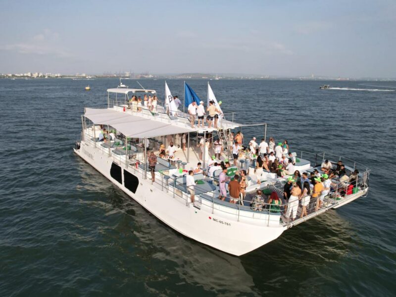 2024 Custom PaxCat 80