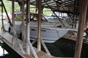 2024 Cutwater C-248 Coupe for sale - photo 5