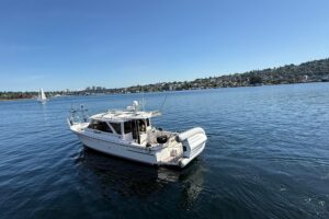 2024 Cutwater C-30 Sedan for sale - photo 2