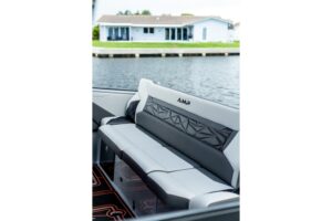 2026 AMP 333 for sale - photo 8